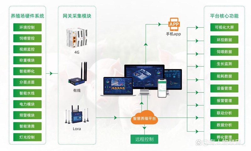 数据中台：企业转型的必由之路